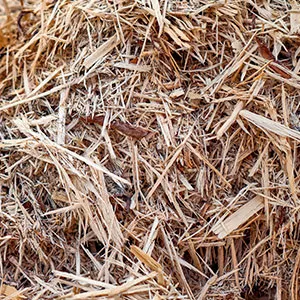 Щепа для арболита оптом в Калининграде и других различных марок заказать от 16 тонн