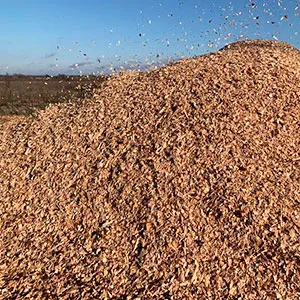 Щепа топливная оптом в Калининграде от завода-производителя Лигнум Ресурс